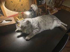 -隅cafe(傅厚岗店)