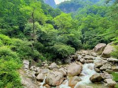 -青峰峡国家森林公园