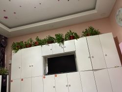 -香薇妮丝·定制减肥·身材管理