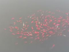 -前关湿地公园