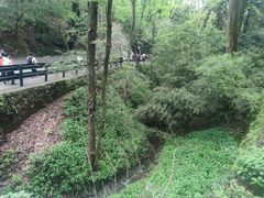 -岳麓山风景名胜区