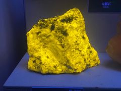 -湖南省地质博物馆