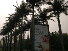 -西安国际创新人才交流中心•药浴温泉