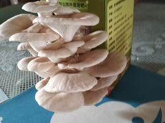 -芸山季·云南野生菌火锅(人民广场来福士店)
