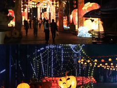 -国色天乡三期陆地乐园