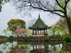 -无锡蠡湖国家湿地公园-蠡园