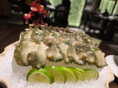 冰镇活海参-东莱海上(长宁来福士店)