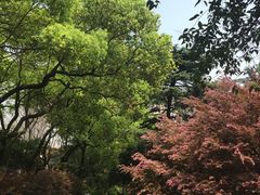 -湖南省立第一师范学校旧址