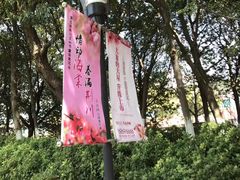 -荆川公园