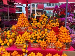 -越秀西湖花市(广州城市广场花卉店)