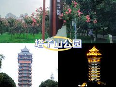 -塔子山公园