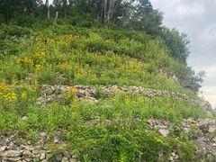 -长白山万达锦华套房酒店