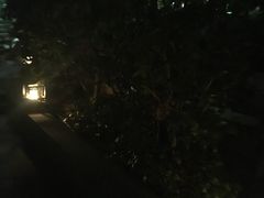 -宝莱纳啤酒花园餐厅PAULANER BRAUHAUS Nanjing(广州路店)