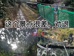 -西双版纳原始森林公园