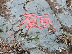 -镇江市南山风景名胜区竹林景区
