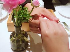 -蝶舍·MAISON PAPILLON