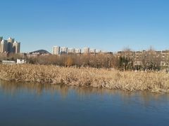 -前关湿地公园