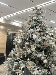 -SalonRivelin 沙龙瑞菱