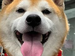 -宠物家(双井店)