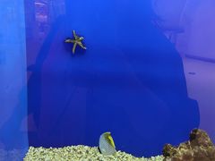 -萌宠奇缘(荣鼎店)