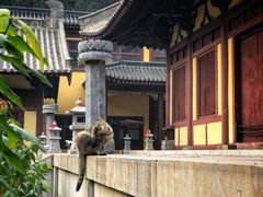 -四门塔风景区