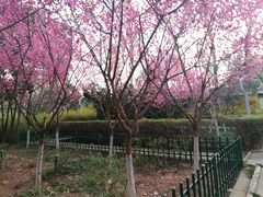 -西安市长乐公园