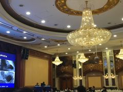 -南京维景国际大酒店(南京博物院店)