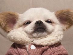 -蛙小侠(亚欧商厦店)