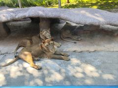 -北京野生动物园