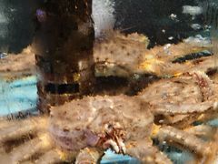 -荔城生鲜盛宴(番禺旗舰店)