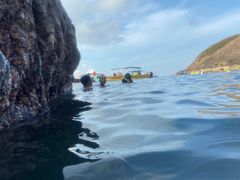 -双月湾小星山潜水·浮潜俱乐部