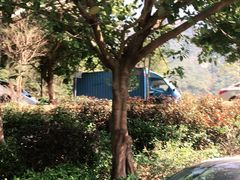 -梧桐山风景名胜区