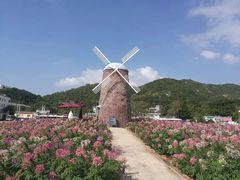 -玫瑰海岸文化旅游度假区