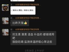 -美联众合爱康动物医院•复杂内科•肿瘤科•牙科•腔镜诊疗中心