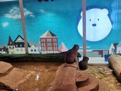 -Mr·Kuma酷么先生雪之乐园