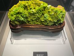 -安徽省地质博物馆