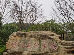 -铁山坪森林公园