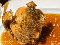 糖醋鲤鱼-梅飞酒家(桑园路店)