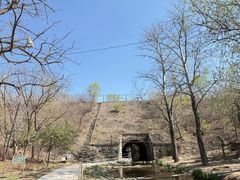 -白水寺森林公园
