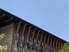 -思念果岭悦温泉