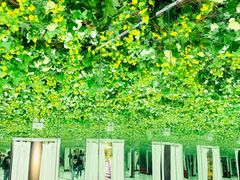 -印象莫奈时光映迹艺术展