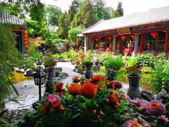 -白家大院·王府宫廷菜(苏州街店)