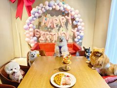 -百好乐宠物友好餐厅(朝外大街店)