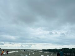 -红树林天天赶海