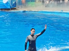 -海合安成都极地海洋公园