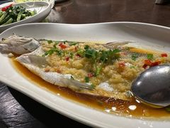 -羲和雅苑•北京烤鸭(国贸商城店)