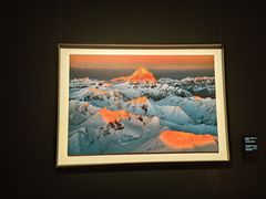 -罗红摄影艺术馆