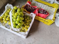 -马陆小张葡萄园农家乐