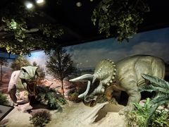 -国家自然博物馆