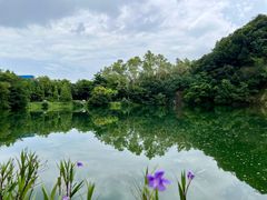 -王借岗森林公园